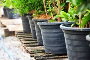 Plastic planters are converted into planks for landscaping timbers.