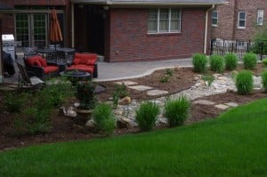 St. Louis Rain Garden