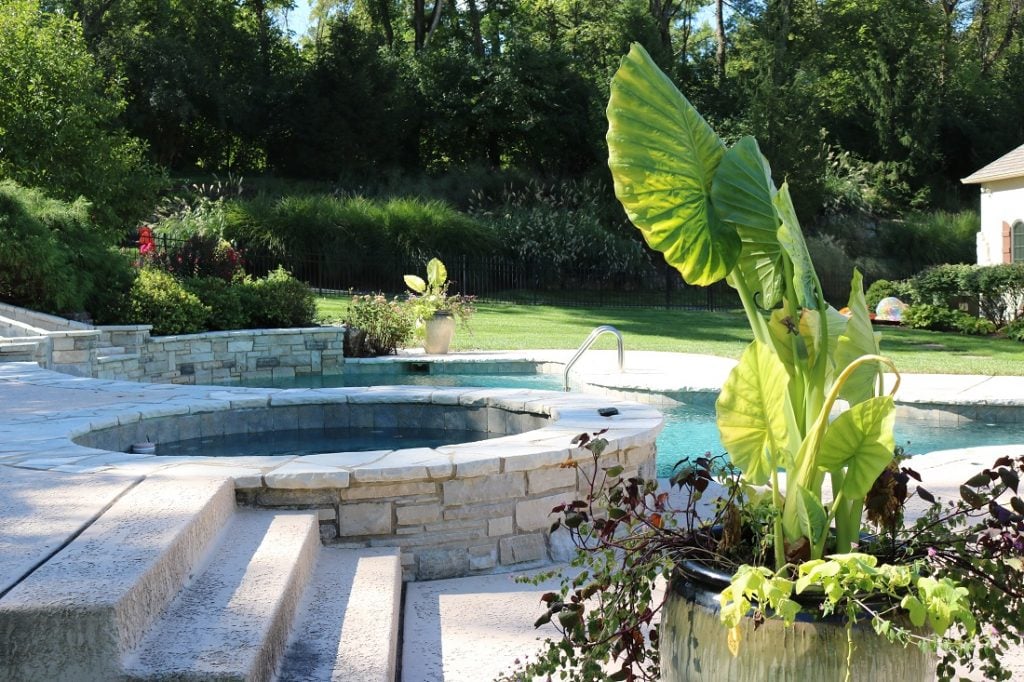 pool landscaping ideas