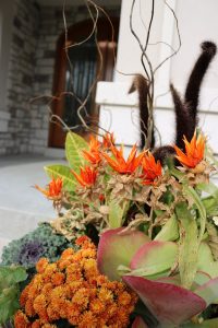 container gardens for fall 