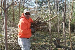 Quiet Village Landscaping Team Member 02