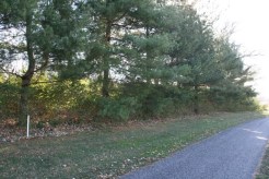 Before Image Forest Park Landscaping Before Image Forest Park Landscaping