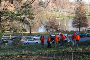 Forest Park Landscaping Work