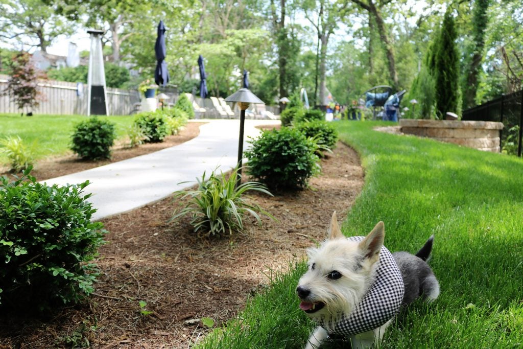 outdoor lighting system and landscaping installed in Webster Groves, MO by Quiet Village Landscaping