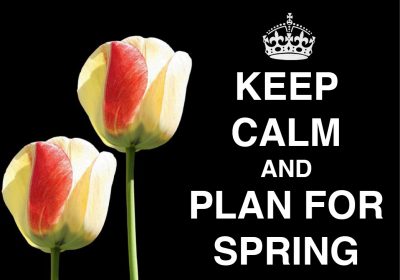 Spring-St-Louis-Landscaping