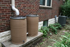 Rainbarrel rain garden basin system