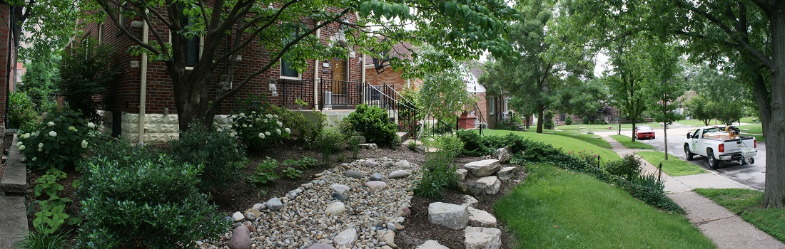 Stormwater Rainscaping Garden