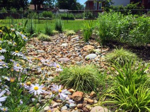 st louis rainscaping