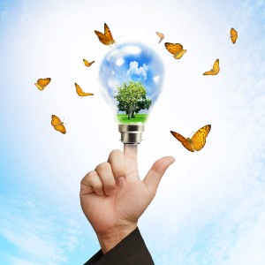 Think Green St. Louis Landscaping