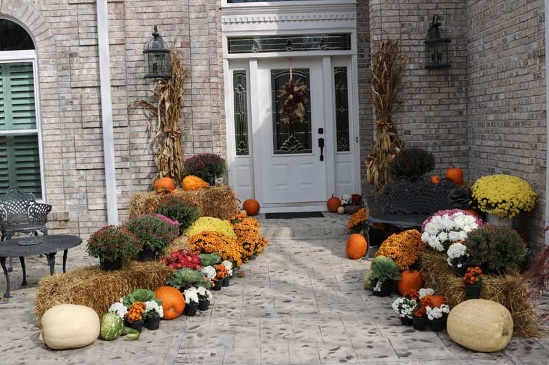 fall container garden design