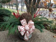 Holiday Planter Container Holiday Container