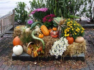 outdoor fall display