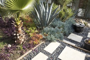 xeriscape landscaping